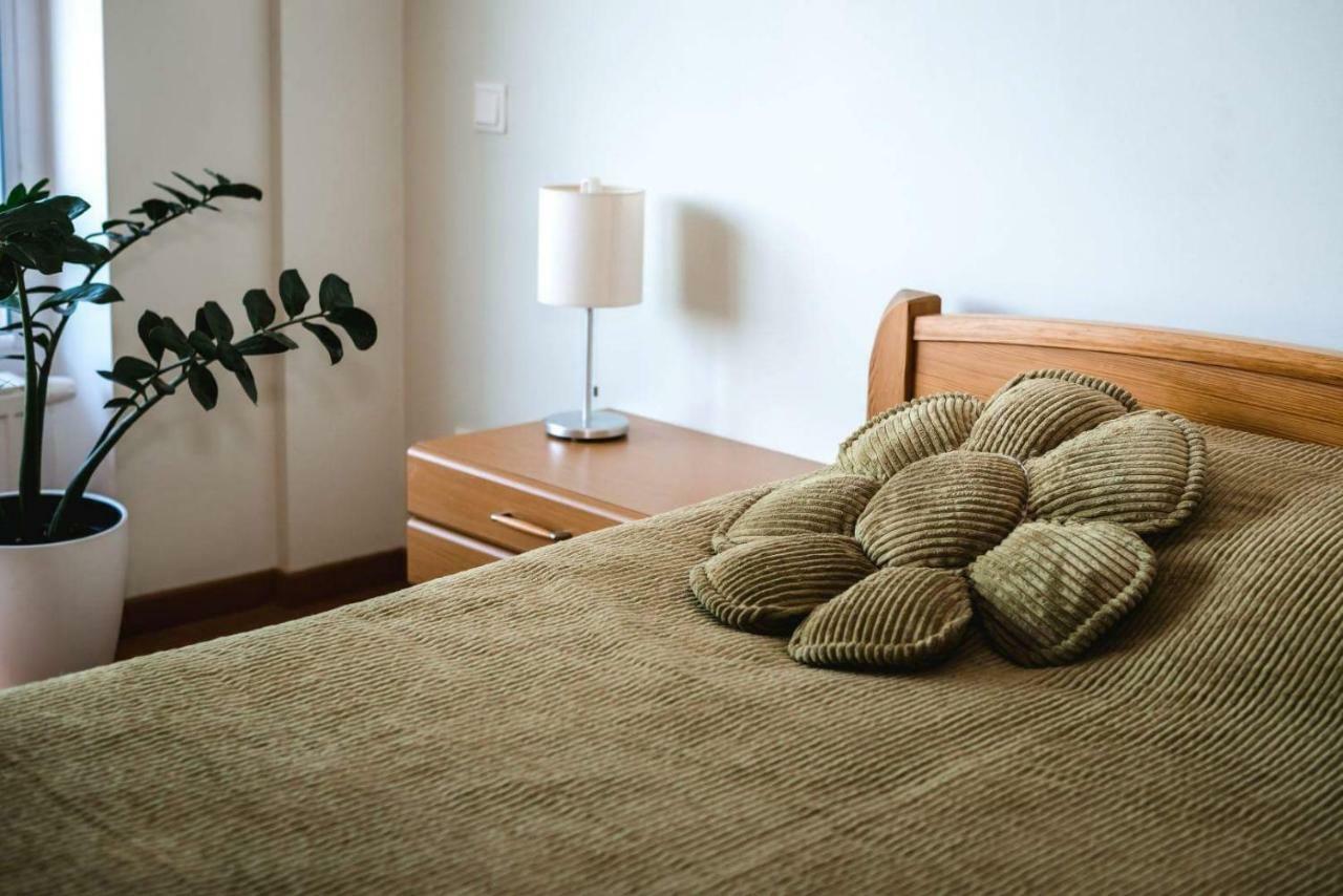 New Apartament Very Close To The City Centre วิลนีอุส ภายนอก รูปภาพ